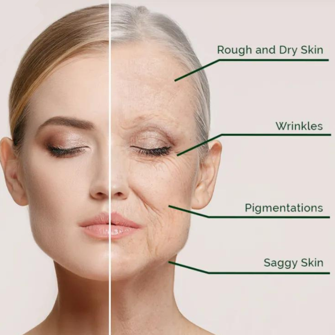 Dr. Melaxin Calcium & Collagen Balm Stick | Repair Wrinkles & Repair Skin Cells | Tighten Skin tissues & Brighten Skin